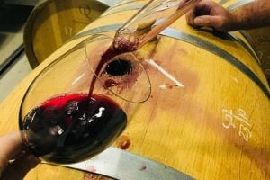 Cabernet Sauvignon – A Team Player